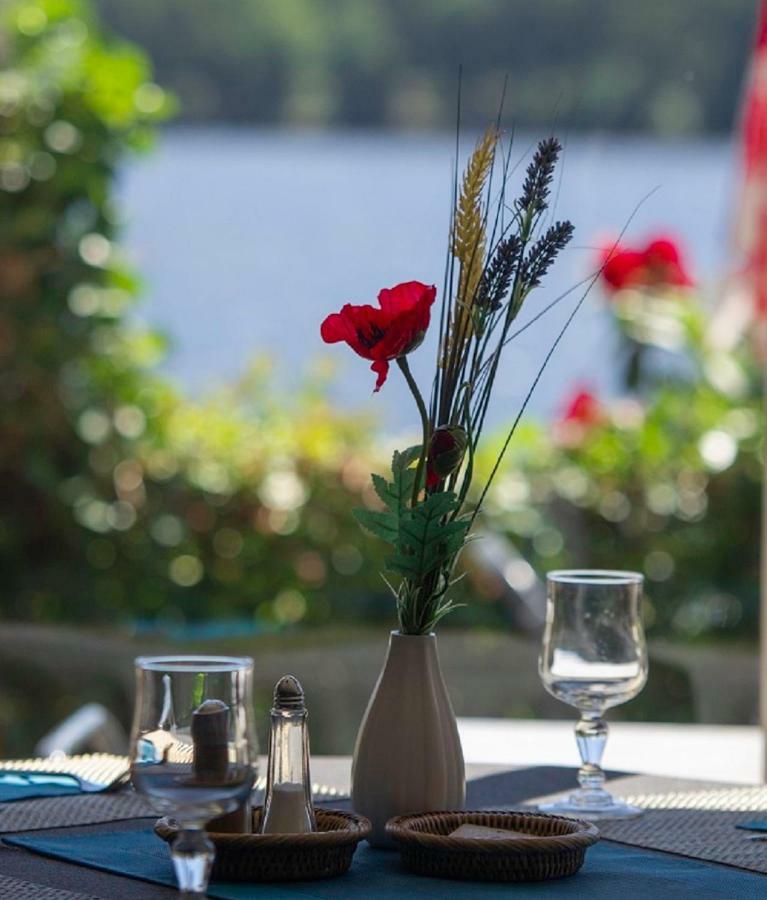 Logis Hotel Du Lac 누빅 외부 사진
